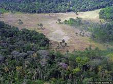 "Под крылом... зеленое море джунглей" Из Каракаса в Канайму