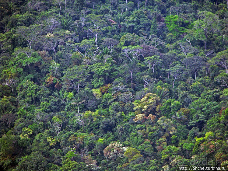 "Под крылом... зеленое море джунглей" Из Каракаса в Канайму