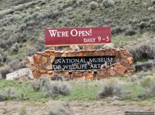 Альбом отзыва "Джексон, сперва понравился, потом восхитил и влюбил в себя"