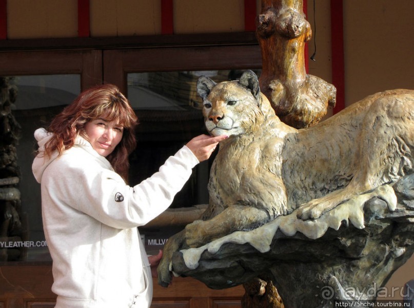 Джексон, сперва понравился, потом восхитил и влюбил в себя