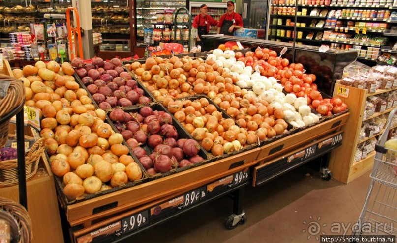 Джексон, сперва понравился, потом восхитил и влюбил в себя