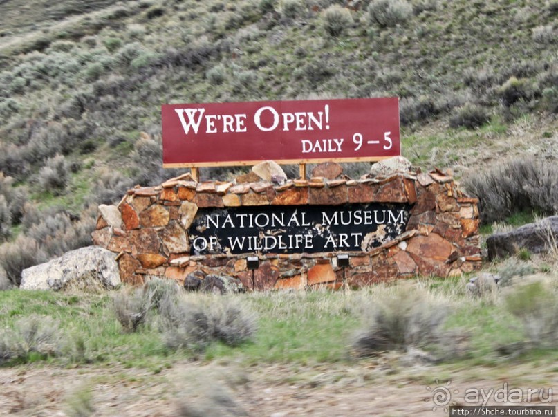 Джексон, сперва понравился, потом восхитил и влюбил в себя