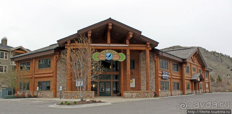 Джексон, сперва понравился, потом восхитил и влюбил в себя