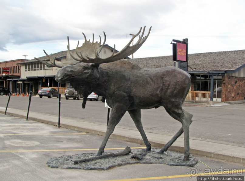Джексон, сперва понравился, потом восхитил и влюбил в себя