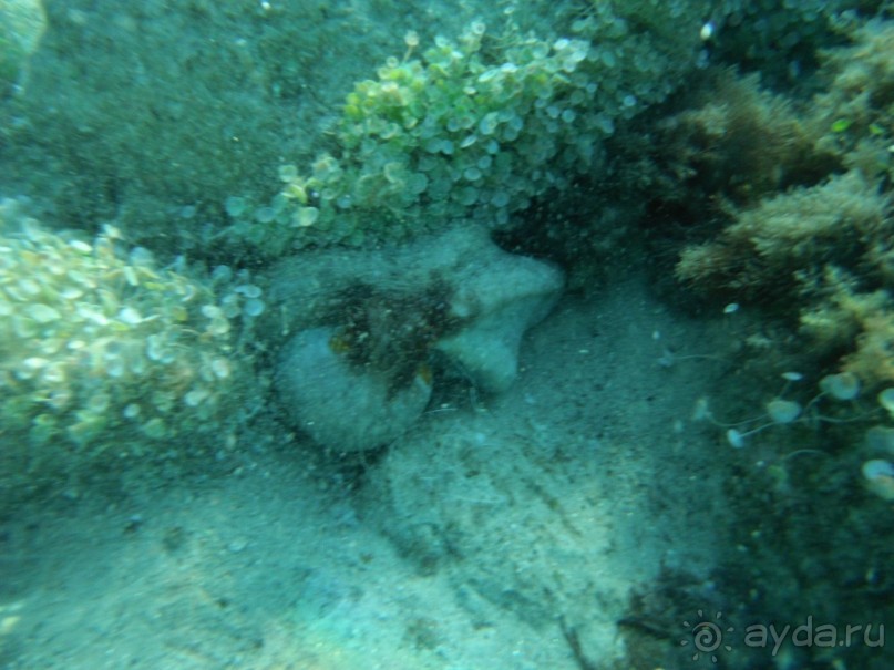 фото Pallini Beach