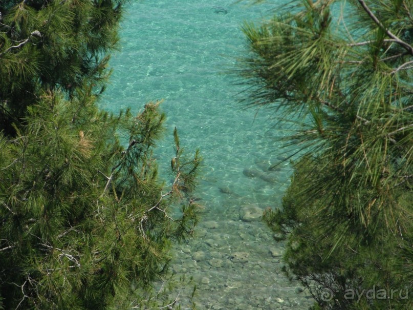 Вид в Диасе