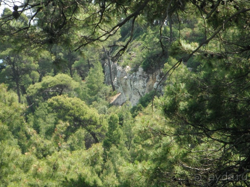 Вид в Диасе