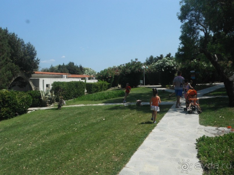 территория