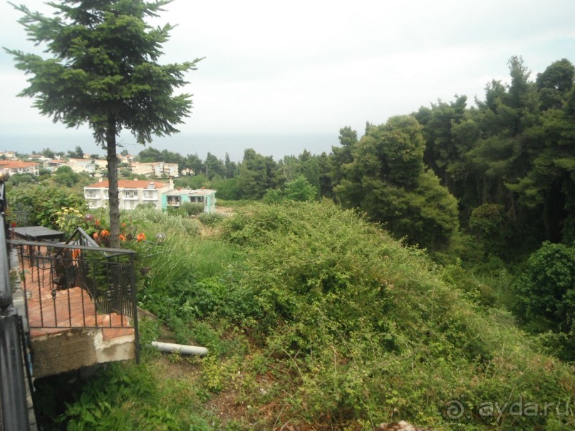 Вид в таверне Бистро