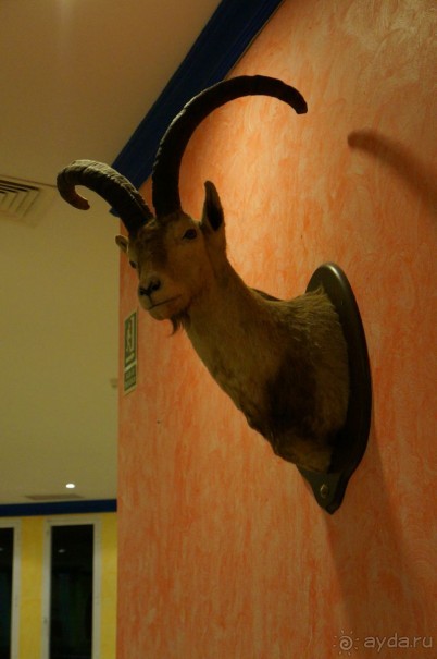 Бразильский ресторан "Родео" на Тенерифе - стоит посетить хотя бы раз