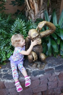 Самый лучший зоопарк - Лоро Парк на Тенерифе