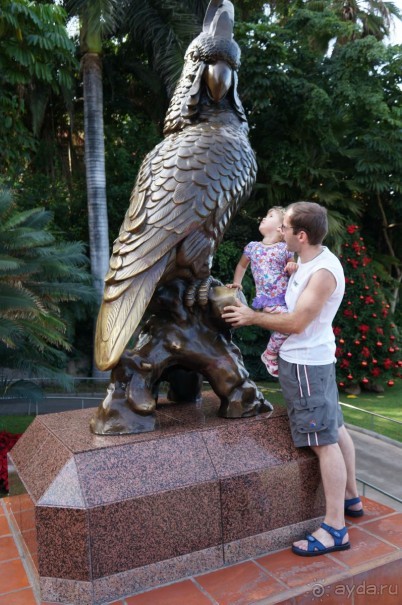 Самый лучший зоопарк - Лоро Парк на Тенерифе