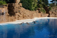 Самый лучший зоопарк - Лоро Парк на Тенерифе