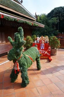 Самый лучший зоопарк - Лоро Парк на Тенерифе