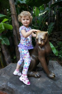 Самый лучший зоопарк - Лоро Парк на Тенерифе