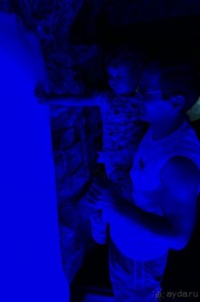 Самый лучший зоопарк - Лоро Парк на Тенерифе