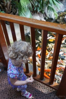 Самый лучший зоопарк - Лоро Парк на Тенерифе