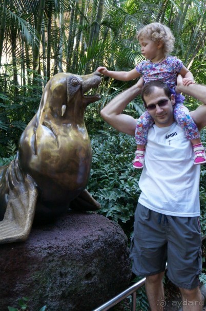 Самый лучший зоопарк - Лоро Парк на Тенерифе