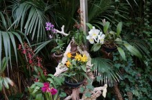 Самый лучший зоопарк - Лоро Парк на Тенерифе