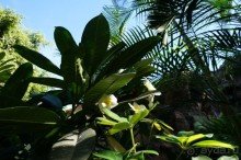 Самый лучший зоопарк - Лоро Парк на Тенерифе