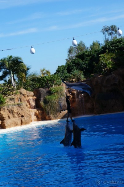 Самый лучший зоопарк - Лоро Парк на Тенерифе