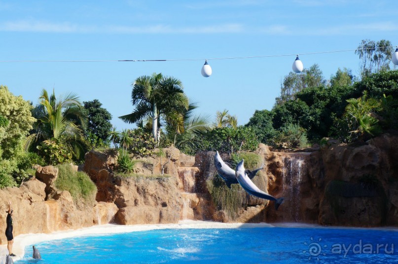 Самый лучший зоопарк - Лоро Парк на Тенерифе