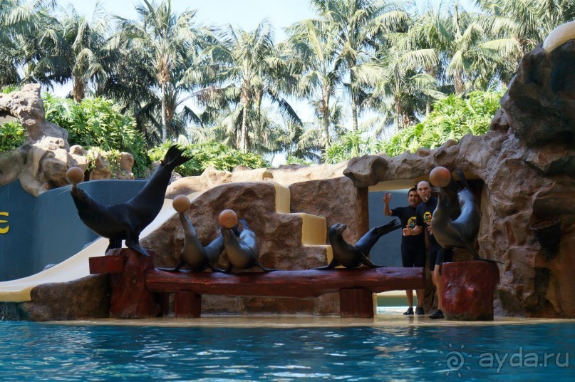 Самый лучший зоопарк - Лоро Парк на Тенерифе
