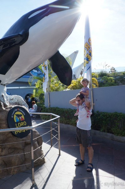 Самый лучший зоопарк - Лоро Парк на Тенерифе
