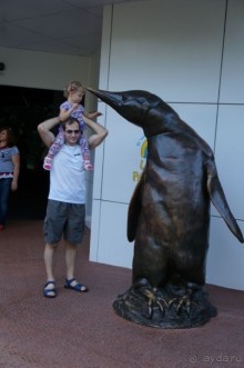 Самый лучший зоопарк - Лоро Парк на Тенерифе