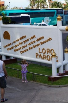 Самый лучший зоопарк - Лоро Парк на Тенерифе