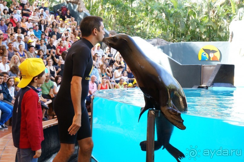 Самый лучший зоопарк - Лоро Парк на Тенерифе