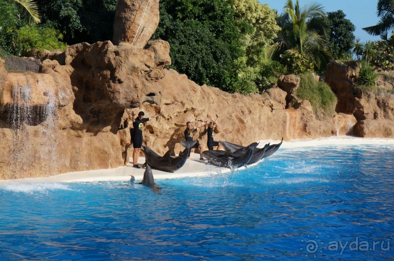 Самый лучший зоопарк - Лоро Парк на Тенерифе