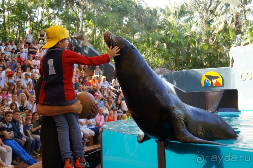 Самый лучший зоопарк - Лоро Парк на Тенерифе