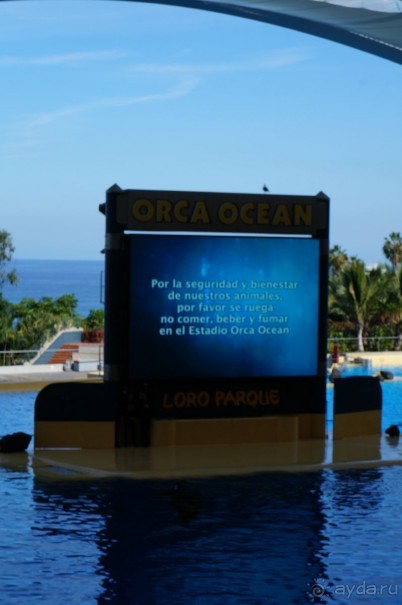 Самый лучший зоопарк - Лоро Парк на Тенерифе