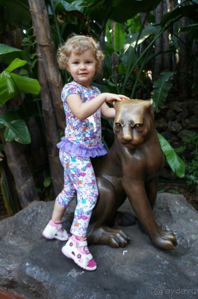 Самый лучший зоопарк - Лоро Парк на Тенерифе
