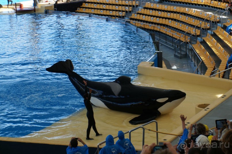 Самый лучший зоопарк - Лоро Парк на Тенерифе
