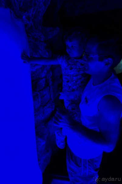 Самый лучший зоопарк - Лоро Парк на Тенерифе