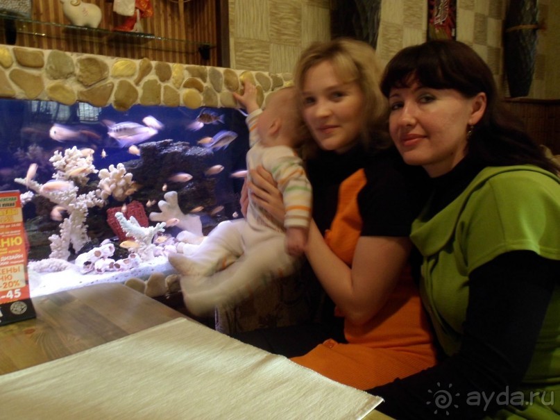 Сушим ласты)