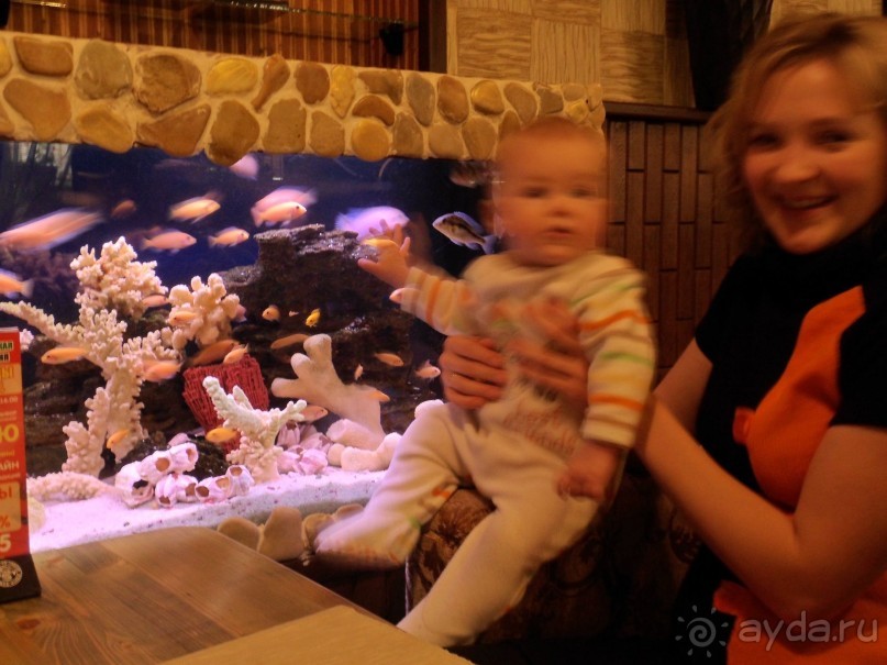 Сушим ласты)