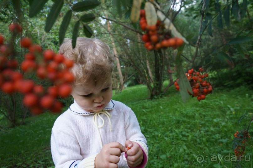 Серебряный бор - прекрасное место для отдыха в городе