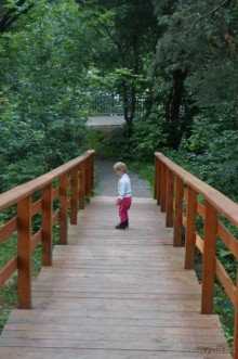 Серебряный бор - прекрасное место для отдыха в городе