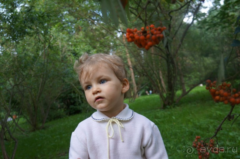 Серебряный бор - прекрасное место для отдыха в городе