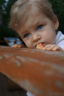 Серебряный бор - прекрасное место для отдыха в городе