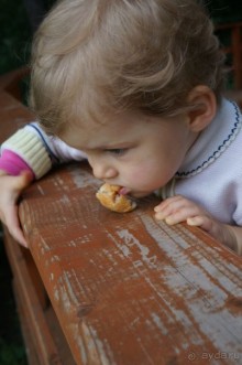 Серебряный бор - прекрасное место для отдыха в городе
