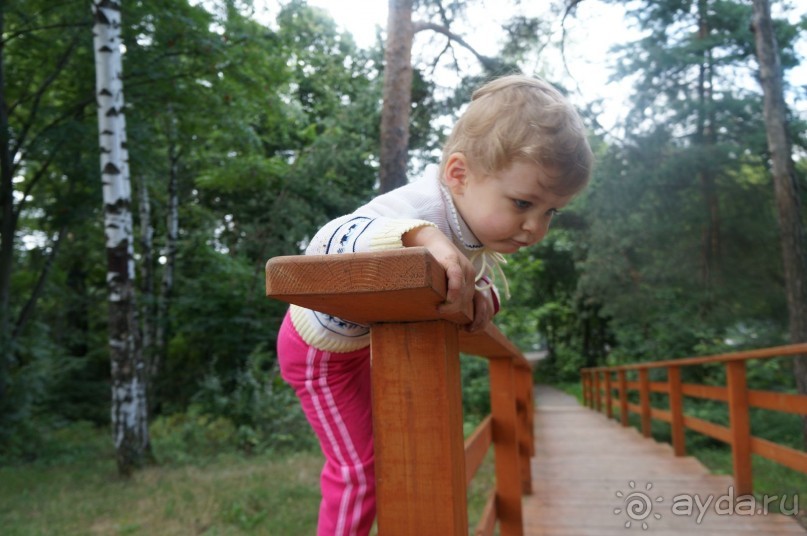 Серебряный бор - прекрасное место для отдыха в городе