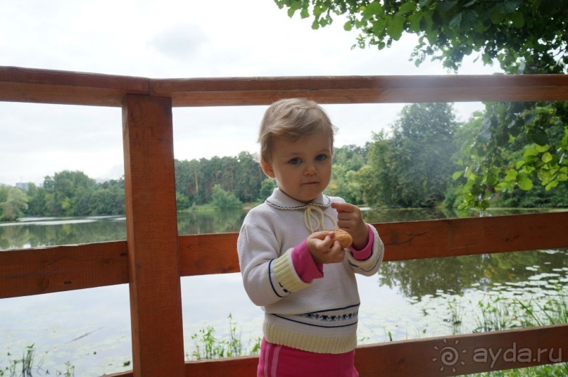 Серебряный бор - прекрасное место для отдыха в городе