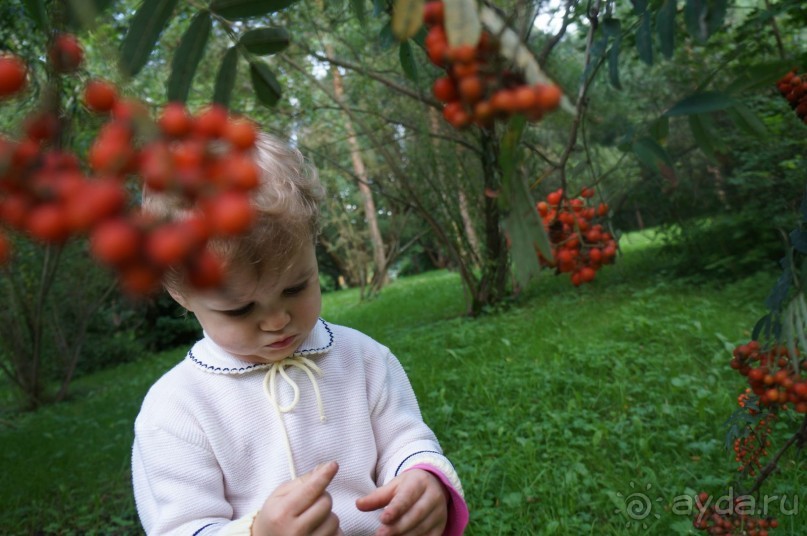 Серебряный бор - прекрасное место для отдыха в городе