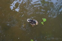 Серебряный бор - прекрасное место для отдыха в городе