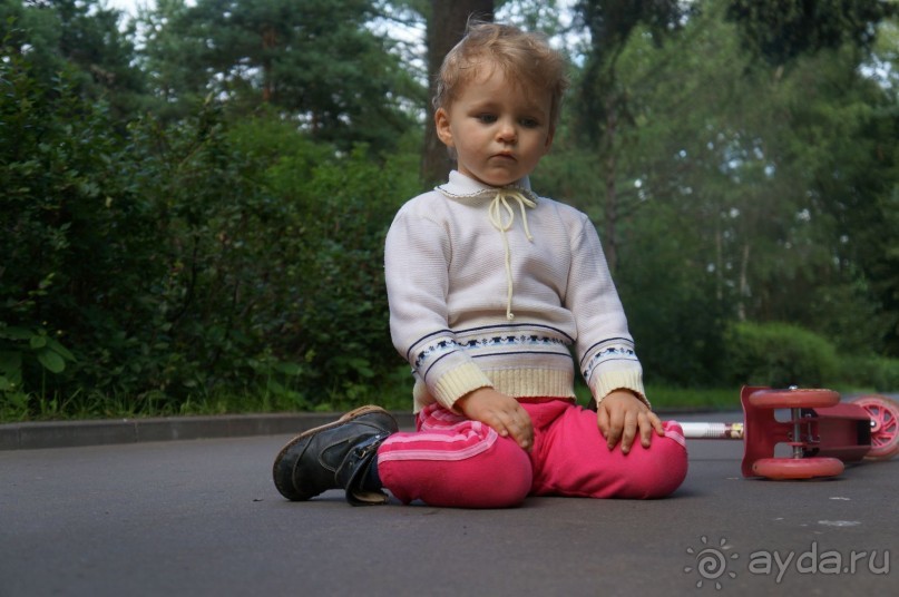 Серебряный бор - прекрасное место для отдыха в городе Серебряный бор - прекрасное место для отдыха в городе