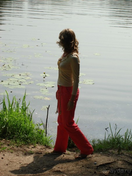 Серебряный бор - прекрасное место для отдыха в городе Серебряный бор - прекрасное место для отдыха в городе